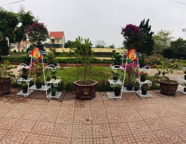 20b4c9bfe661283f71708-2.jpg