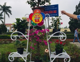 ac50893aaae464ba3df563.jpg