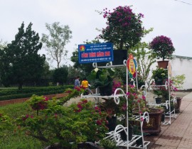 ade32f0a03d4cd8a94c558.jpg